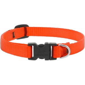Lupine Small Dog Collar 1/2" Wide Blaze Orange adjusts 8-12" Long