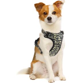 QQPETS No Pull Dog Harness with 2 Leash Clips，Adjustable Soft Padded Dog Vest, Reflective Outdoor Pet Oxford Vest with Easy Control Handle for Small to Large Dogs Walking Training