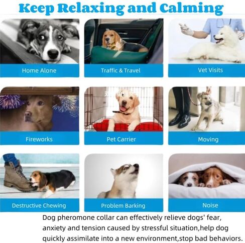 Calming Collar for Dogs (4 Pack) Dog Pheromones Calming Diffuser- Pet Calming Diffuser for Dog and Cats Relief Anxiety Calming Care Lasts 60 Days,Adjustable for All Small Medium and Large Dogs(Grey) in Saudi Arabia