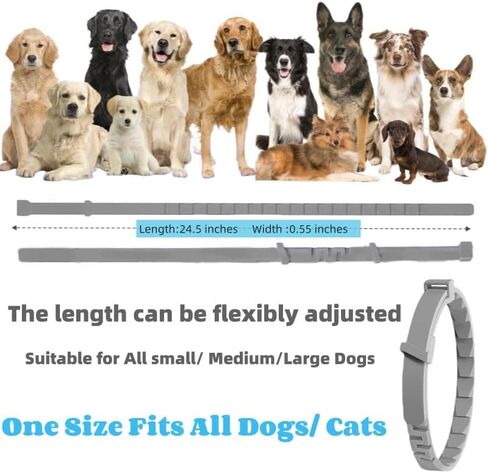 Calming Collar for Dogs (4 Pack) Dog Pheromones Calming Diffuser- Pet Calming Diffuser for Dog and Cats Relief Anxiety Calming Care Lasts 60 Days,Adjustable for All Small Medium and Large Dogs(Grey) in Saudi Arabia
