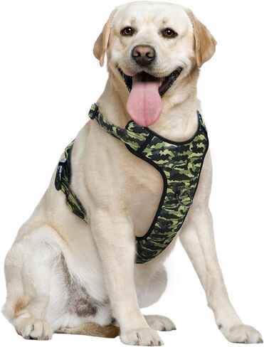 QQPETS No Pull Dog Harness with 2 Leash Clips，Adjustable Soft Padded Dog Vest, Reflective Outdoor Pet Oxford Vest with Easy Control Handle for Small to Large Dogs Walking Training in Saudi Arabia