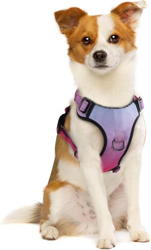 QQPETS No Pull Dog Harness with 2 Leash Clips，Adjustable Soft Padded Dog Vest, Reflective Outdoor Pet Oxford Vest with Easy Control Handle for Small to Large Dogs Walking Training in Kuwait