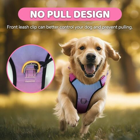 QQPETS No Pull Dog Harness with 2 Leash Clips，Adjustable Soft Padded Dog Vest, Reflective Outdoor Pet Oxford Vest with Easy Control Handle for Small to Large Dogs Walking Training in Kuwait