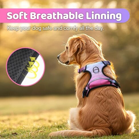QQPETS No Pull Dog Harness with 2 Leash Clips，Adjustable Soft Padded Dog Vest, Reflective Outdoor Pet Oxford Vest with Easy Control Handle for Small to Large Dogs Walking Training in Kuwait