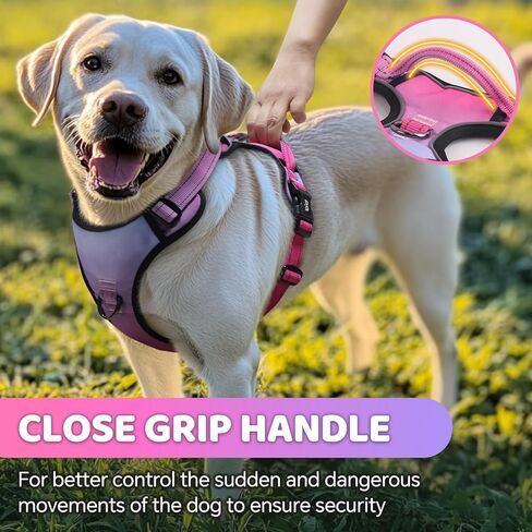 QQPETS No Pull Dog Harness with 2 Leash Clips，Adjustable Soft Padded Dog Vest, Reflective Outdoor Pet Oxford Vest with Easy Control Handle for Small to Large Dogs Walking Training in Kuwait