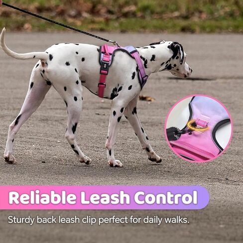 QQPETS No Pull Dog Harness with 2 Leash Clips，Adjustable Soft Padded Dog Vest, Reflective Outdoor Pet Oxford Vest with Easy Control Handle for Small to Large Dogs Walking Training in Kuwait