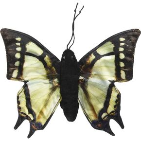 دمية إصبع بذيل بشق على شكل فراشة من صني تويز مقاس 8 بوصات in Kuwait