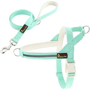 Plutus Pet Cotton Dog Harness and Leash Set, Reflective and Soft Padded, Quick Fit Vest Harness, for Small, Medium and Large Dogs, Beige, S