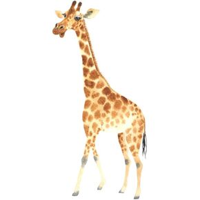 Giraffe Wall Decals Peel and Stick, Watercolor Giraffe Wall Sticker for Nursery Baby Decor, Giraffe Wallpaper