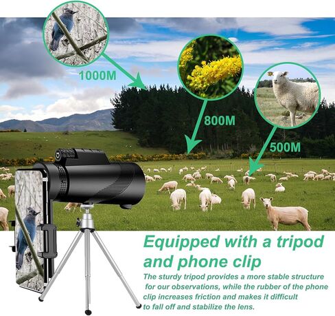 منظار أحادي مقاس 80 × 100 مع حامل ثلاثي القوائم وحقيبة حمل ومشبك هاتف + حامل تلسكوبي مناسب لمشاهدة الطيور والصيد ومشاهدة مناظر الحياة البرية والتصويب على الأهداف in Kuwait