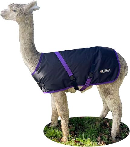 AniMac Super Calf Jacket for Calves, Sheep, Alpaca, Goats and Dogs – Premium Waterproof Livestock Coat – Breathable – Synthetic – Machine Washable in Saudi Arabia