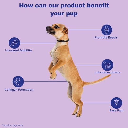 PAWSMIQ PLAN Hip and Joint Chews - Anti-inflammatory Joint Support - Glucosamine, Chondroitin, MSM and Type II Collagen Chews - for Small, Medium & Large Dogs - Increased Joint Care - 60 Ct in Saudi Arabia