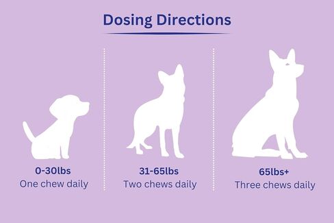 PAWSMIQ PLAN Hip and Joint Chews - Anti-inflammatory Joint Support - Glucosamine, Chondroitin, MSM and Type II Collagen Chews - for Small, Medium & Large Dogs - Increased Joint Care - 60 Ct in Saudi Arabia