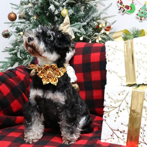 Lionet Paws Thanksgiving Day Dog Collar with Bowtie, Dog Sailor Bow Collar with Metal Buckle for Dogs, Adjustable Comfortable Dog Collar Girl Gift, M, Neck 13.5-22 in in Kuwait