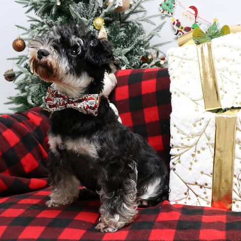 Lionet Paws عيد الشكر طوق الكلب مع ربطة عنق، طوق الكلب بحار القوس مع مشبك معدني للكلاب، قابل للتعديل مريح الكلب طوق هدية فتاة، M، الرقبة 13.5-22 في in Kuwait