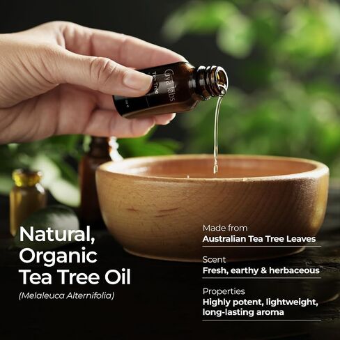 Gya Labs Organic Ginger Oil for Body Comfort - Natural Organic Ginger Essential Oil for Hair, Skin & Diffuser - (0.34 fl oz) in Saudi Arabia