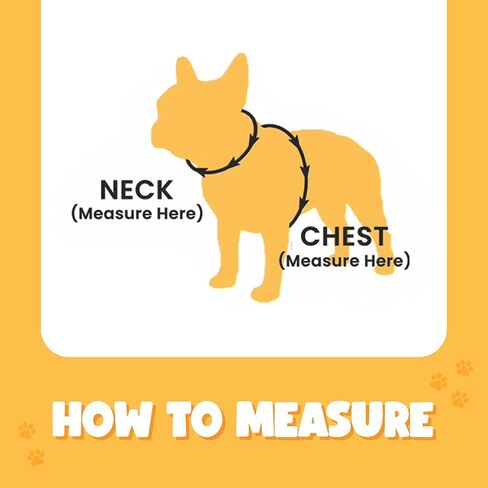 Bark Appeal Black Netted Mesh Wrap N Go Dog Harness for Small-Medium Pets – Lightweight Harness that's Perfect for Hot Weather – Easy Buckle Free Design for a Comfortable Fit – XS in Kuwait