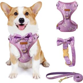 Cute Dog Collar, Harnesses & Leash Set with Gold Colored Metal Components – Breathable and Adjustable Dog Collar and Leash Set with Bowtie - Soft Dog Vest Harness for Puppies Small and Medium Dogs
