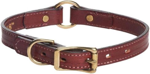 Mendota Pet Leather Hunt Collar - Dog Collar - Made in The USA in Saudi Arabia