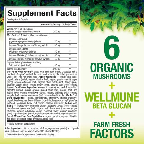 Whole Earth & Sea from Natural Factors, Super Mushroom, Whole Food Supplement, Vegan, 60 vegetarian capsules (60 servings) in Saudi Arabia