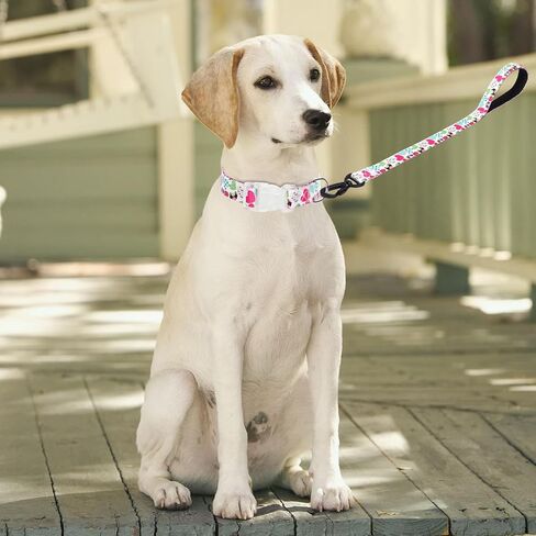 Dog Collar and Leash Set Cute Floral Pattern Dog Collar Gift for Puppy Small Medium Large Boys Girls Dogs (NO6, L) in Kuwait