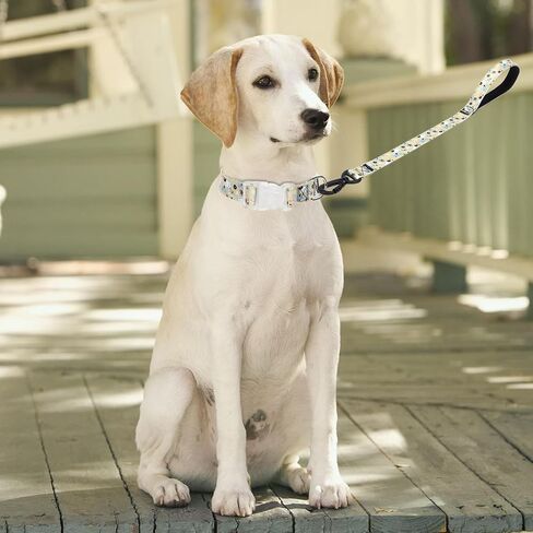 Dog Collar and Leash Set Cute Floral Pattern Dog Collar Gift for Puppy Small Medium Large Boys Girls Dogs (NO6, L) in Kuwait