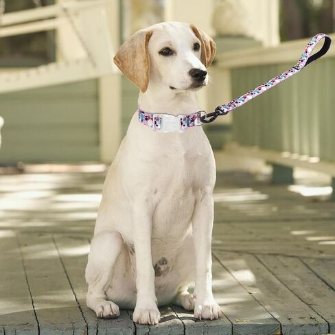 Dog Collar and Leash Set Cute Floral Pattern Dog Collar Gift for Puppy Small Medium Large Boys Girls Dogs (NO6, L) in Kuwait