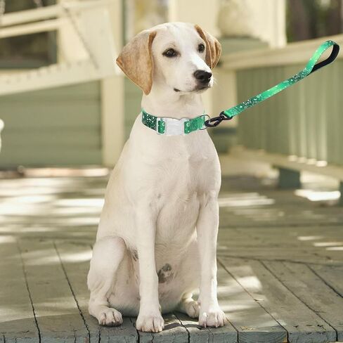 Dog Collar and Leash Set Cute Floral Pattern Dog Collar Gift for Puppy Small Medium Large Boys Girls Dogs (NO6, L) in Kuwait