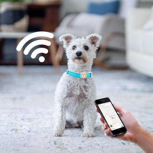 Lionheart glory Airtag Dog Collar Reflective Dog Collars with Airtag Hloder Female Male Baby Pink Collar Dog Adjustable Durable Soft Classic Collar for Small Dogs Pet Gift in Kuwait