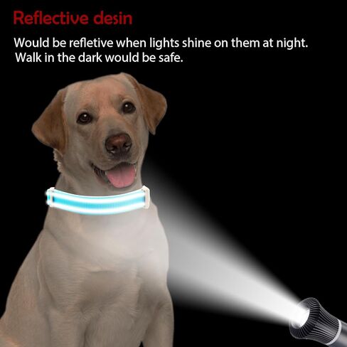 Lionheart glory Airtag Dog Collar Reflective Dog Collars with Airtag Hloder Female Male Baby Pink Collar Dog Adjustable Durable Soft Classic Collar for Small Dogs Pet Gift in Kuwait