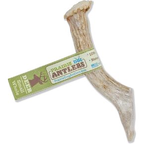 Prairie Dog Antlers | North American Whole Deer Antler | MEGA | Naturally Shed | Hand Harvested | Nutrient Rich | 10.5-11.5 inches long