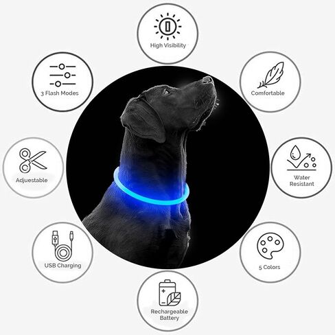 LED Dog Collar - Parent (Yellow, Large) in Saudi Arabia