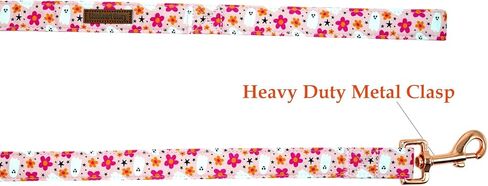 Lionheart glory Fall Dog Leash, Durable Halloween Dog leashes with Soft Handle for Walking Training Medium Male or Female Dogs in Kuwait