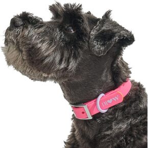 Wild One, Limited Edition, Designer Collection, Pink Dog Collar, Easy-Clean, All Weather Flex-Poly Strap with Metal, Durable, Dirt and Odor Resistant, Large