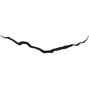 Crack in Time DW Sticker Decal Notebook Car Laptop 8" (Black)
