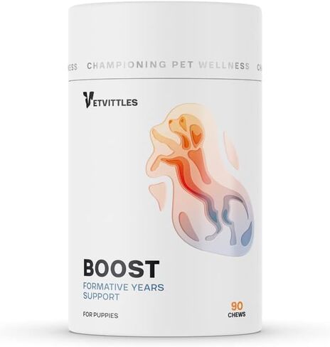 Boost for Puppies - Natural Formative Years Support - Stimulates Growth, Strengthens Immunity, Increases Energy, and Promotes Appetite - 90 Soft Chews in Saudi Arabia