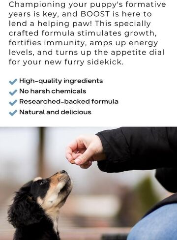 Boost for Puppies - Natural Formative Years Support - Stimulates Growth, Strengthens Immunity, Increases Energy, and Promotes Appetite - 90 Soft Chews in Saudi Arabia