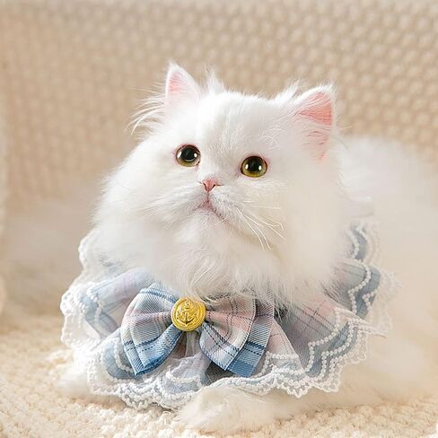 Dog Cat Bandana, Cute Bowtie Cat Dog Collar, Soft Adjustable Bandana for Small Cat and Dog, Birthday Scarf for Pet Puppy Kitten, Cat Dog Lace Bib Scarf, Pets Bandana Accessories (Blue) in Kuwait