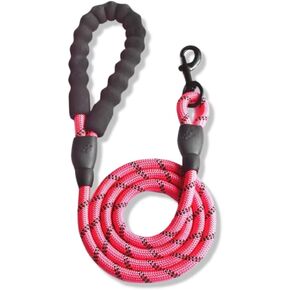 5 FT Dog Leash with Comfortable Padded Handle and Highly Reflective Threads for Small Medium and Large Dogs (5FT-1/2'') (Blue)