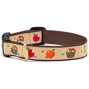 Up Country Apple of My Eye Dog Collar, Medium (12 to 18 inches) 1 inch Wide Width