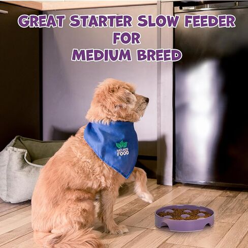 أطباق سيراميك للتغذية البطيئة للكلب 1.5 كوب وعاء تغذية بطيء للكلاب للسلالات المتوسطة الصغيرة، وعاء طعام للطعام البطيء مقاس 8 بوصات للجرو، أطباق للكلاب متوسطة الحجم لإبطاء تناول الطعام، هدايا عيد الميلاد، نقطة أرجوانية in Kuwait