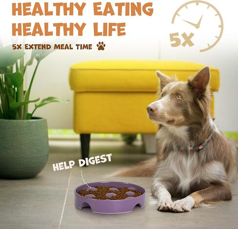 أطباق سيراميك للتغذية البطيئة للكلب 1.5 كوب وعاء تغذية بطيء للكلاب للسلالات المتوسطة الصغيرة، وعاء طعام للطعام البطيء مقاس 8 بوصات للجرو، أطباق للكلاب متوسطة الحجم لإبطاء تناول الطعام، هدايا عيد الميلاد، نقطة أرجوانية in Kuwait