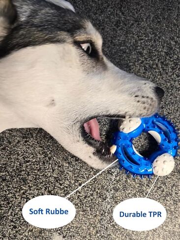 Dog Chew Toys 3-Pack - Puppy Teething Toys for Small to Medium Dogs, Natural Rubber-Coated Tough Nylon for Teething Puppies, Provide The Perfect Balance Between Durability and Softness, Blue in Kuwait