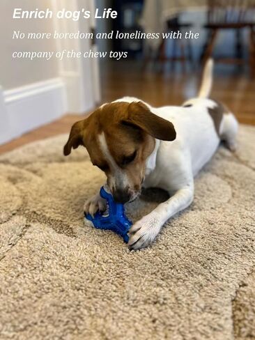 Dog Chew Toys 3-Pack - Puppy Teething Toys for Small to Medium Dogs, Natural Rubber-Coated Tough Nylon for Teething Puppies, Provide The Perfect Balance Between Durability and Softness, Blue in Kuwait