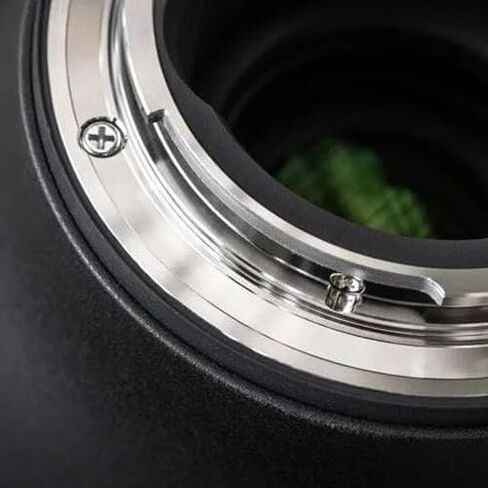 عدسة سيجما 16 ملم F1.4 DC DN المعاصرة لكاميرات Nikon Z-Mount DX عديمة المرآة APS-C 402973 حزمة مع ملحقات التصوير الفوتوغرافي Deco Gear + مجموعة مرشح UV CPL FLD مكونة من 3 قطع وبرامج فيديو للصور in Saudi Arabia