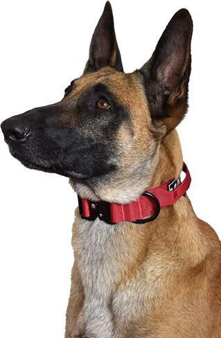 MALI Dog Collar - 18 Colors -Adjustable Heavy Duty Nylon Collar with Quick-Release Metal Buckle in Saudi Arabia