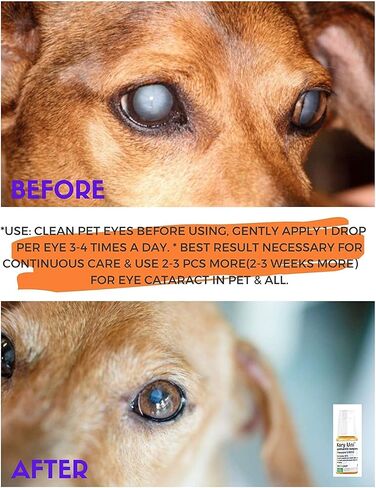 (Pack of 2) x 10ml Kary UNI Pet Eye Drops Cataracts & Gentle Formula, Promotes Eye Clarity & Dryness Eye in PPL Pets & All Animals Dogs, Cats Pet Care Eye Ointment Drops in Saudi Arabia