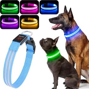 BSEEN Light Up Dog Collar - High Visibility LED Dog Collar Rechargeable, Double Line Fiber Optic Glow in The Dark Dog Collars, Safety Dog Lights for Night Walking (Green, Large)