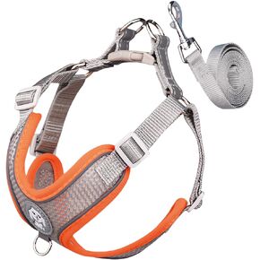 Dog Harness with Leash Set, No Pull Adjustable Reflective Step-in Puppy Harness with Thickened Padded Vest for Extra-Small/Small Medium Large Dogs and Cats (Pink, XS)