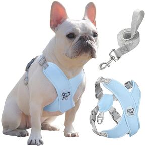 Pawaboo Small Dog Harness and Leash Set, Puppy Harness X-Frame No Pull No Choke, Dog Vest Harness Adjustable for Small Medium Sized Dogs,Soft Breathable Pet Harness for Walking Outing, S, Pink Daisy